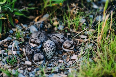 نتيجة مباراة ميلان امستفاصيل المواجهة المثيرة وأبرز الأحداث